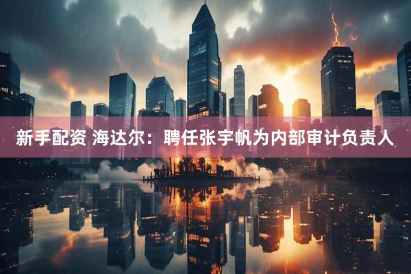 新手配资 海达尔：聘任张宇帆为内部审计负责人