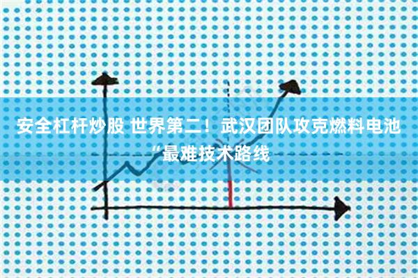 安全杠杆炒股 世界第二！武汉团队攻克燃料电池“最难技术路线